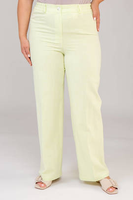 Брюки V231-o512-82/84