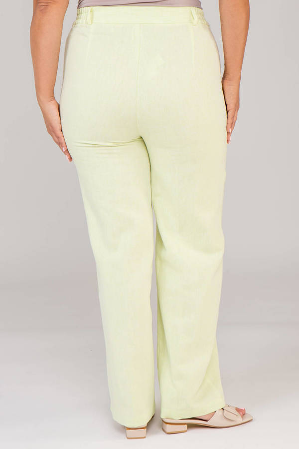 Брюки V231-o512-82/84