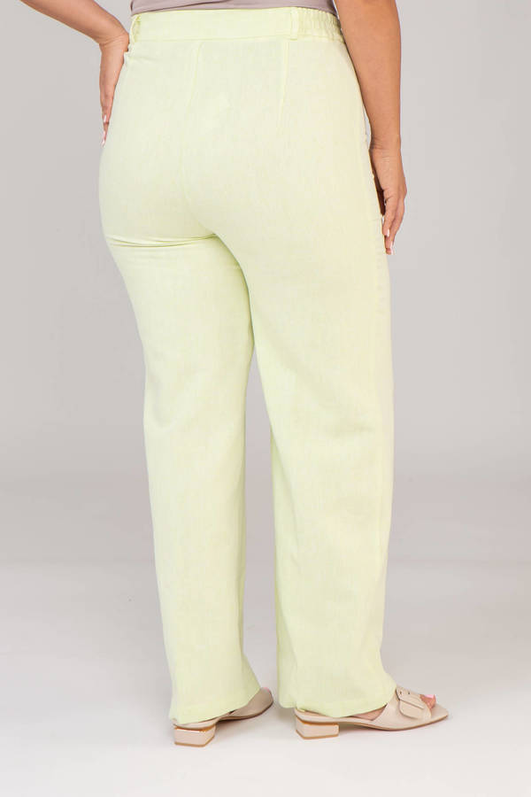 Брюки V231-o512-82/84