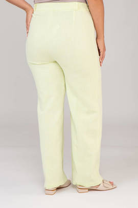 Брюки V231-o512-82/84