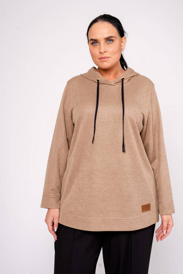 Худи V231-21245-1-27/75