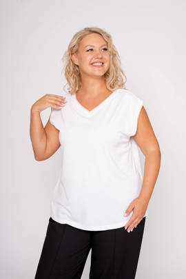 Топ V231-9111-43/11